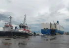 Mongla Port Welcomes Foreign Vessel Carrying 470 Used Cars