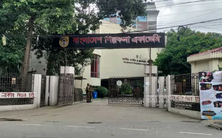 Shilpakala Academy suffers leadership vacuum with inactive directorial board