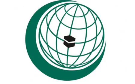 OIC condemns Israeli aggression against Syrian territory