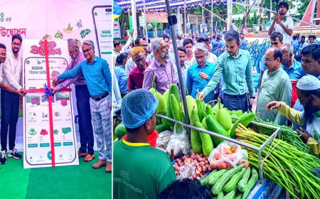 Krishi Bazar app inaugurated to make safe agro-product available in Rangpur