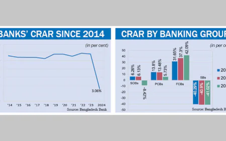 Banks’ CRAR plunges to record 3 per cent, 14 in red