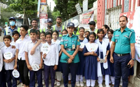 Cross the road safely by following the traffic signal lights!