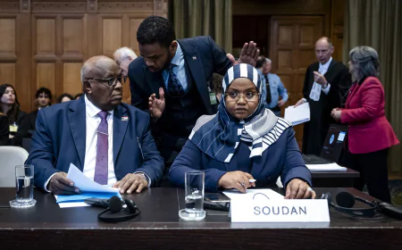 ICJ to Deliver Verdict on UAE-Sudan Darfur Genocide Case