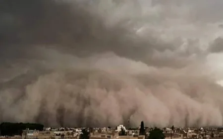Huge dust storm sweeps into Iran, affecting millions