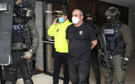 Colombia arrests 217 suspected members of top drug cartel