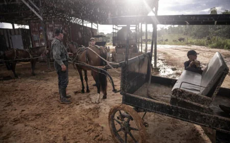Mennonite Communities Stir Controversy in Peruvian Amazon