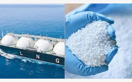 Government Approves Purchase of 2 LNG Cargoes, 25,000 MT Fertilizer