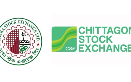 Drop in Large-Cap Stocks Drags Market Down