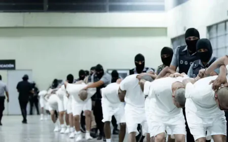 American Organizations Urge Support for Migrants Held in El Salvador