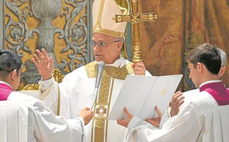 Swedish Cardinal Praises Pope Leo, Criticizes Trump in Remarks