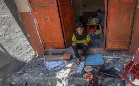 US Aid Plan Excludes Israel from Gaza Food Distribution, Israeli Envoy States