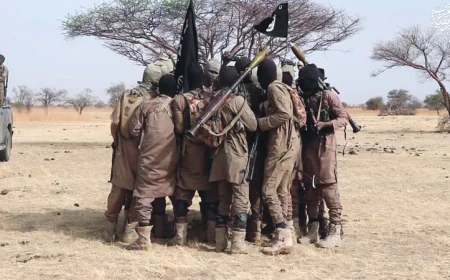 Jihadists Kill Four Nigerian Soldiers in Fresh Attack on Military Base: Sources