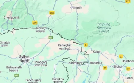 BSF Accused of Forcing 16 Across Border into Bangladesh