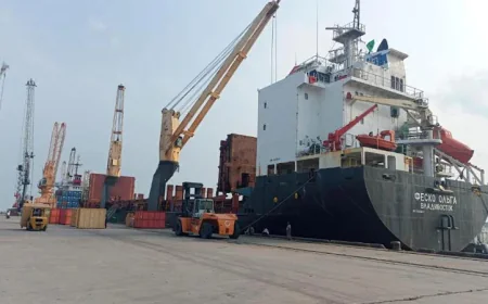 Mongla Port Sees Record 725 Foreign Commercial Ships Dock