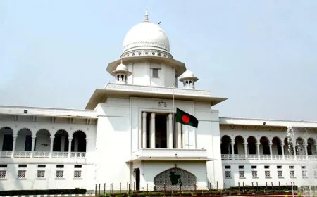 Hearing Begins on Plea Challenging Acquittal in Aug 21 Grenade Attack Cases