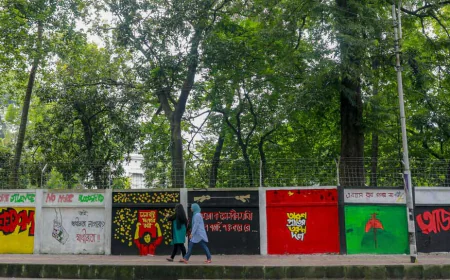 Liberation War Supreme, Yet July Uprising Was Unprecedented: Ali Riaz