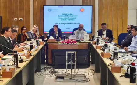 Joint Steering Committee reviews 2024 progress and charts way forward