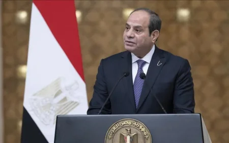 Sisi Presses Trump to Intervene for Ceasefire in Gaza