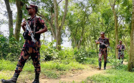 BGB Increases Vigilance Along Cumilla Border to Prevent Illegal Crossings