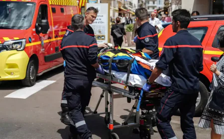 Palm Tree Collapses on Attendee at Cannes Film Festival