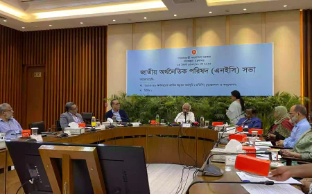 NEC Approves Tk 2.3 Trillion ADP for FY 2025-26