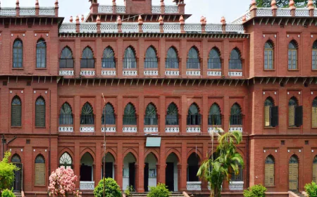 ‘Sada Dal’ Teachers Form Human Chain Demanding Justice for Shammo and a Safer Campus