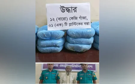 Khulna Police Seize 12 kg of Hemp, Arrest One