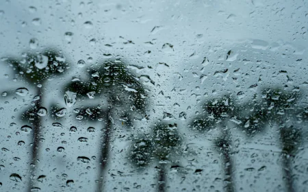 Bogura Sees Season's Heaviest Rainfall