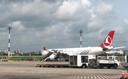 Bird Strike Forces Turkish Airlines Flight to Return to Dhaka After Takeoff   1/2