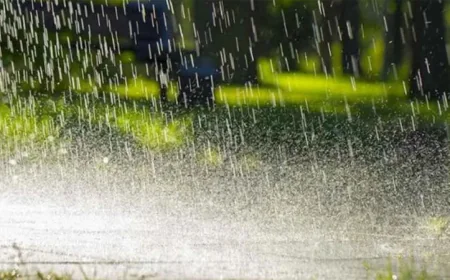 Met Office Forecasts Light to Moderate Rain Across Parts of the Country