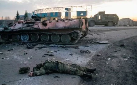 Ukraine Probes French-Trained Brigade