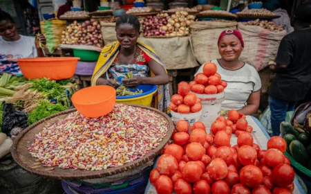 Cash Crisis Grips Captured City in DR Congo