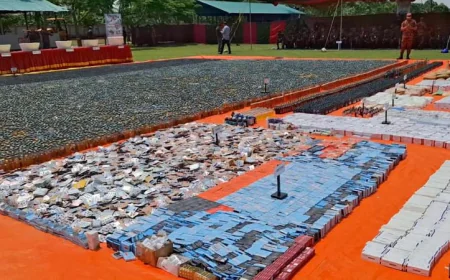 BGB Destroys Tk 119cr Worth of Smuggled Drugs in Jhenaidah