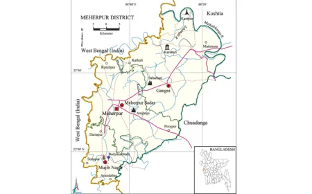 BSF Allegedly Pushes 19 Individuals into Bangladesh via Meherpur Border