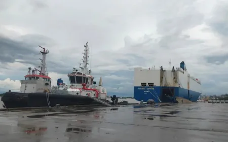 Mongla Port Welcomes Foreign Vessel Carrying 470 Used Cars