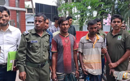 Two Poachers Jailed; Deer Hide and Heads Seized in Sundarbans