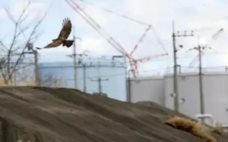 Japan PM’s Office to Receive Fukushima Soil for Testing