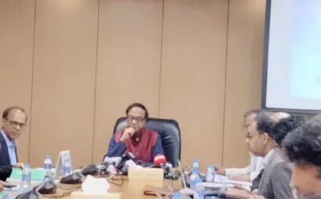 Govt to take charge of troubled banks before merger: Governor