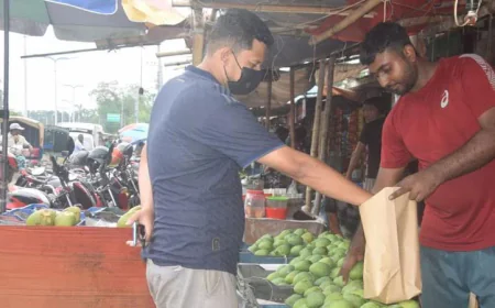 Rajshahi Sees Boost in Mango Marketing