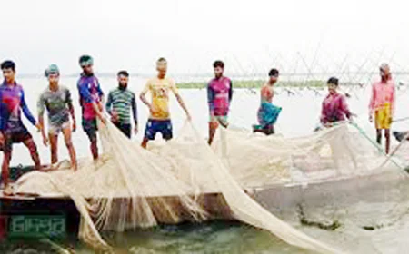 Hilsa scarce in Meghna in Raipur despite peak season