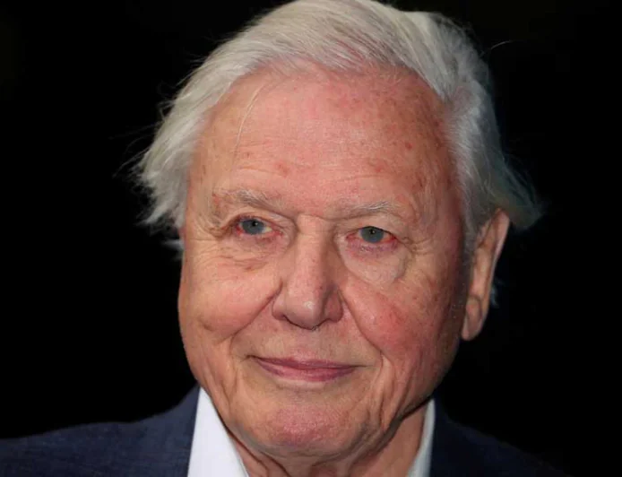 New Attenborough Film Highlights Ocean’s Crisis and Resilience