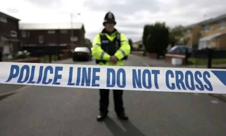 UK police release 14 children held after boy dies in fire