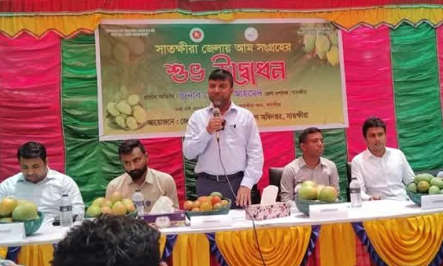 Mango Season Begins as Satkhira Varieties Reach Markets