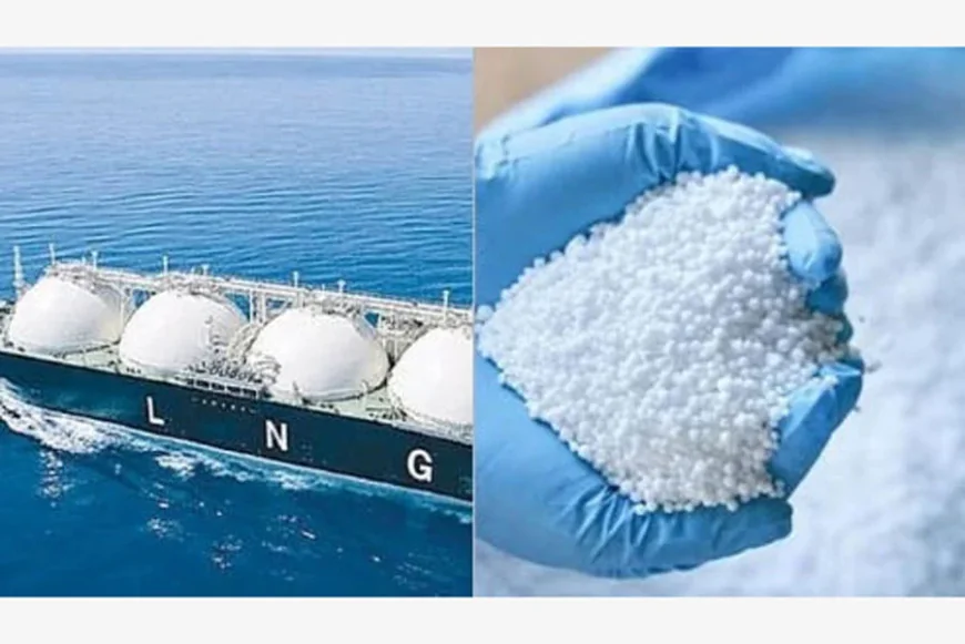 Government Approves Purchase of 2 LNG Cargoes, 25,000 MT Fertilizer