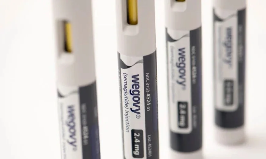 Novo Nordisk Cuts Sales Forecast Despite Demand for Weight-Loss Drugs