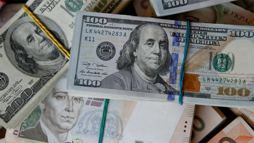Ukraine Eyes Euro Over Dollar Amid Changing Geopolitical Landscape