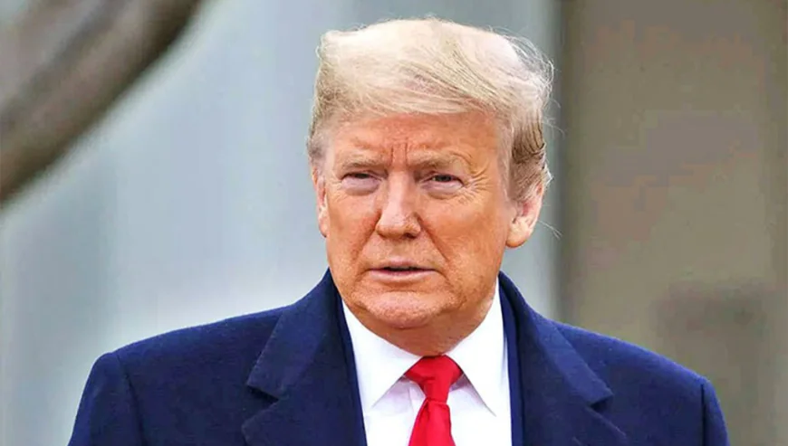 Donald Trump Introduces Financial Incentives for Voluntary Deportation Amid Border Concerns