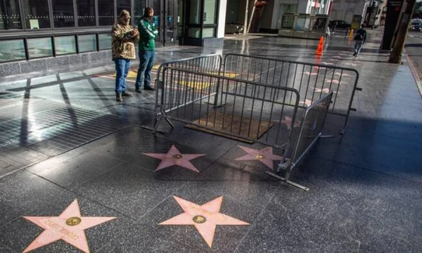 Hollywood Studios and Unions Urge Trump to Provide Tax Breaks