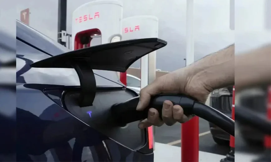 IEA Predicts Continued EV Market Growth Despite Global Trade Challenges