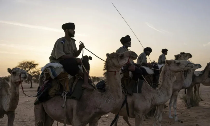 Patrolling for Jihadists with Mauritania’s Camel Cavalry